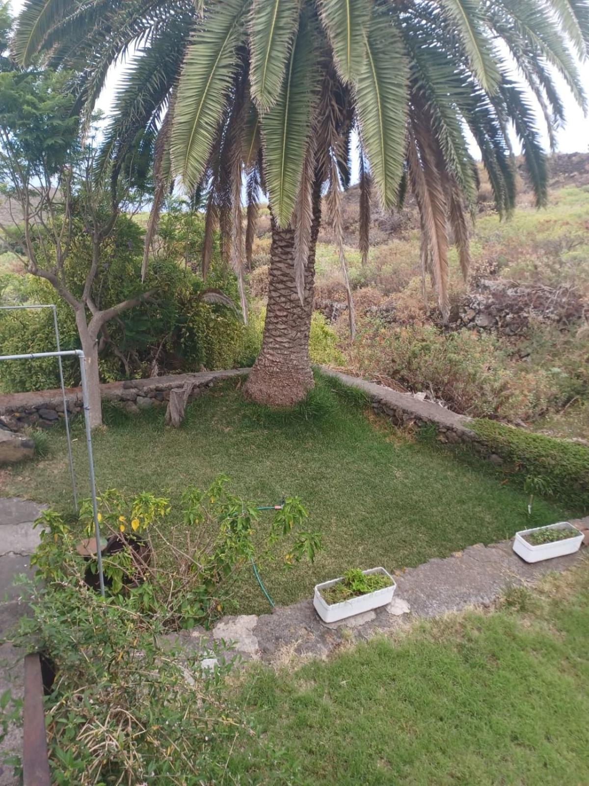 Casa Rural El Olivo De Mazo Buitenkant foto