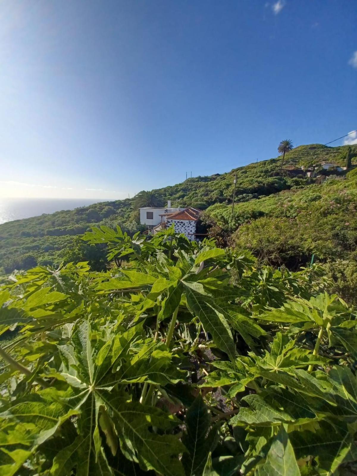 Casa Rural El Olivo De Mazo Buitenkant foto